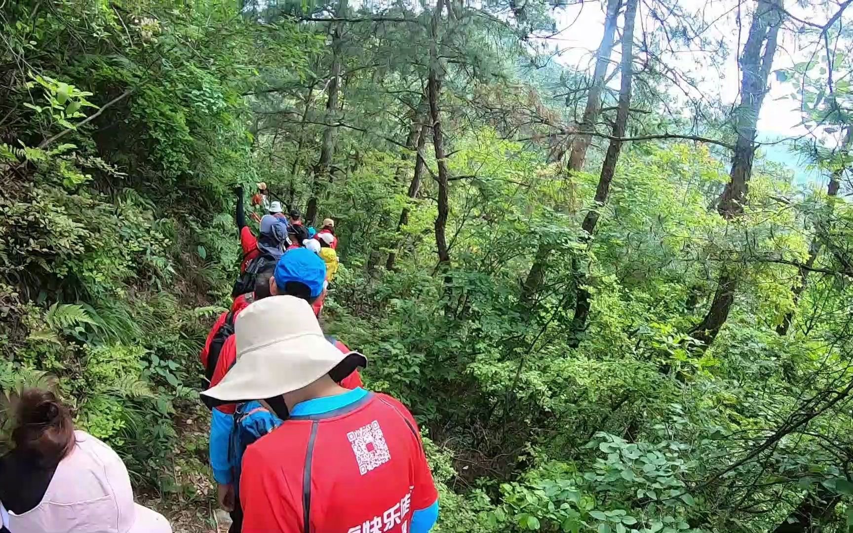 上海周边最美古道 森林徒步漫山野果 黄山坡山村11上海快乐徒步爬山户外哔哩哔哩bilibili