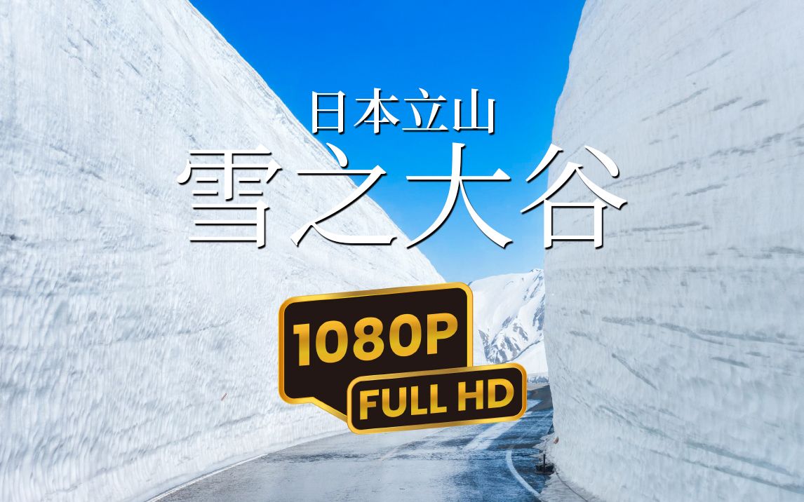 沉浸式体验日本立山雪之大谷哔哩哔哩bilibili