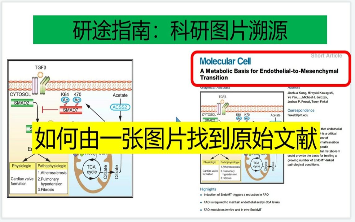 研途指南:科研图片溯源哔哩哔哩bilibili