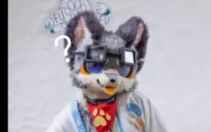 听声音猜出furry up主？！