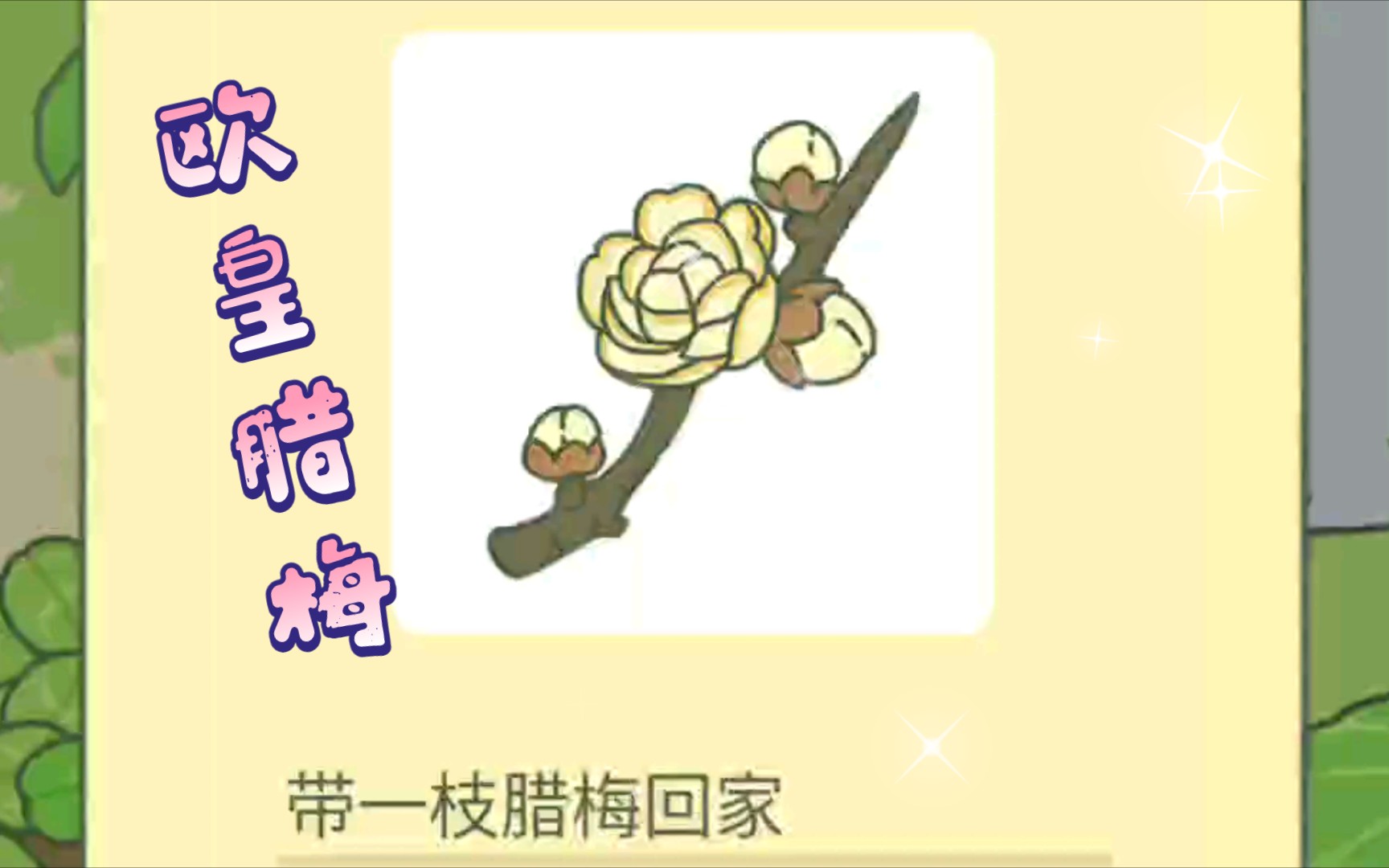 【旅行青蛙】当你得到腊梅