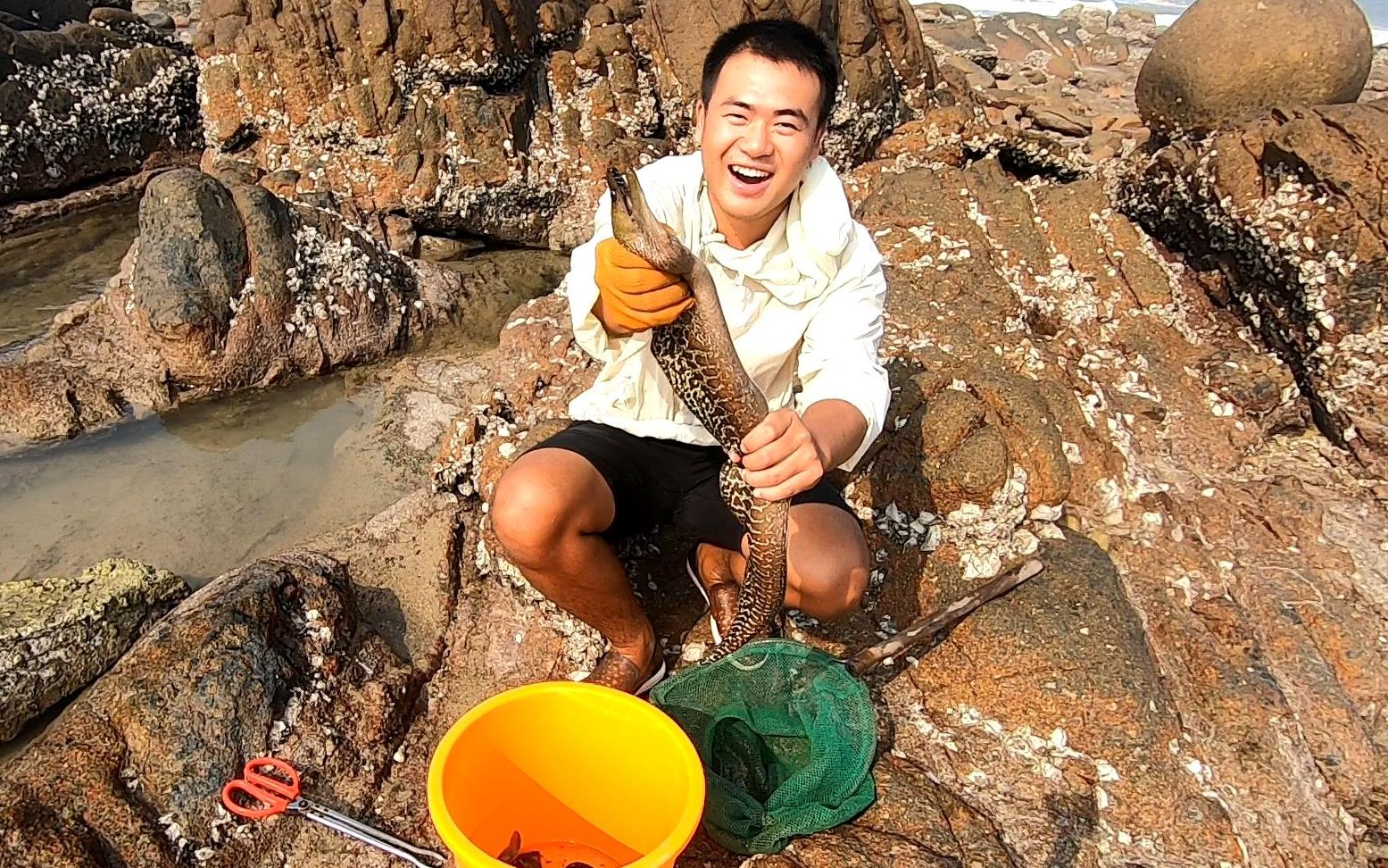 退潮后小林赶海运气爆棚,池塘里海货一条接一条,一直抓到了涨潮