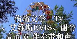 伤痛文学  Ty 、艾维斯EVIS、谢帝 高品质 伴奏带和声哔哩哔哩bilibili