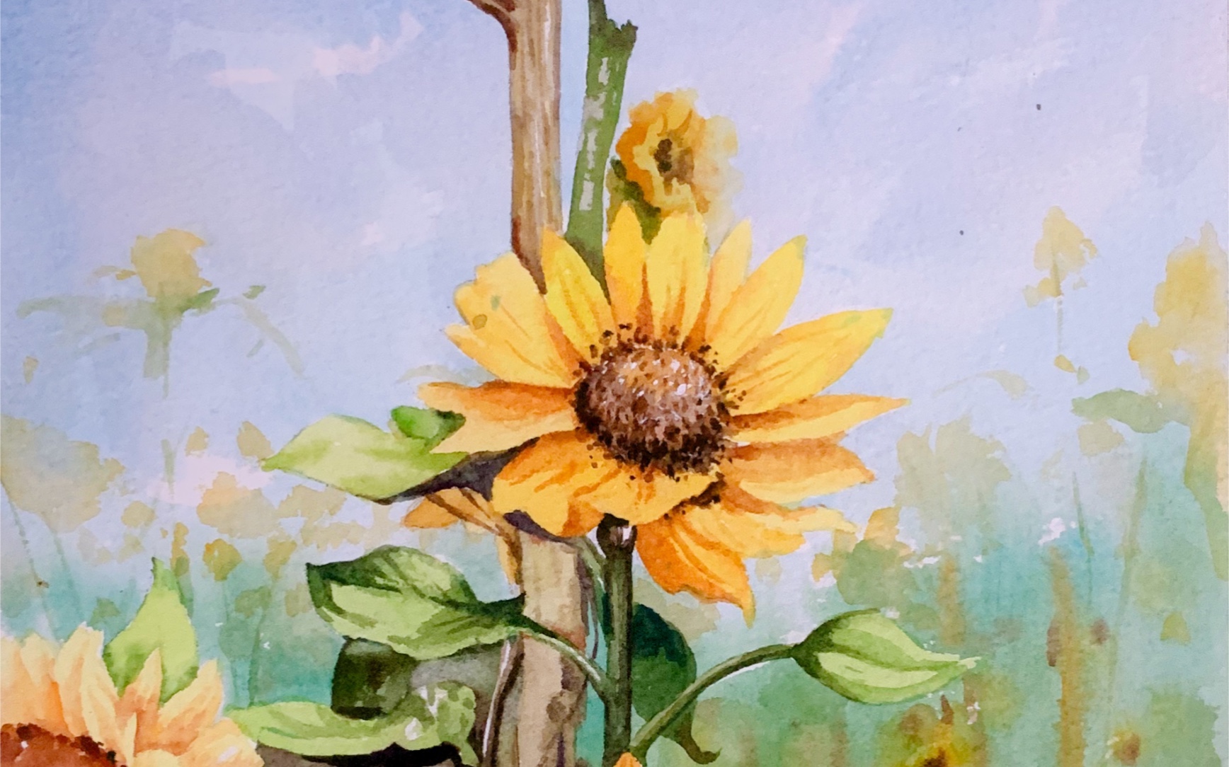 水彩向日葵|层次感怎样表现