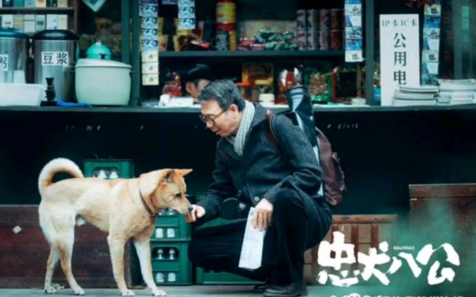 《忠犬八公》主人离去,最后十年的报纸在那间房子里堆成了山,八筒也安祥的去了…哔哩哔哩bilibili