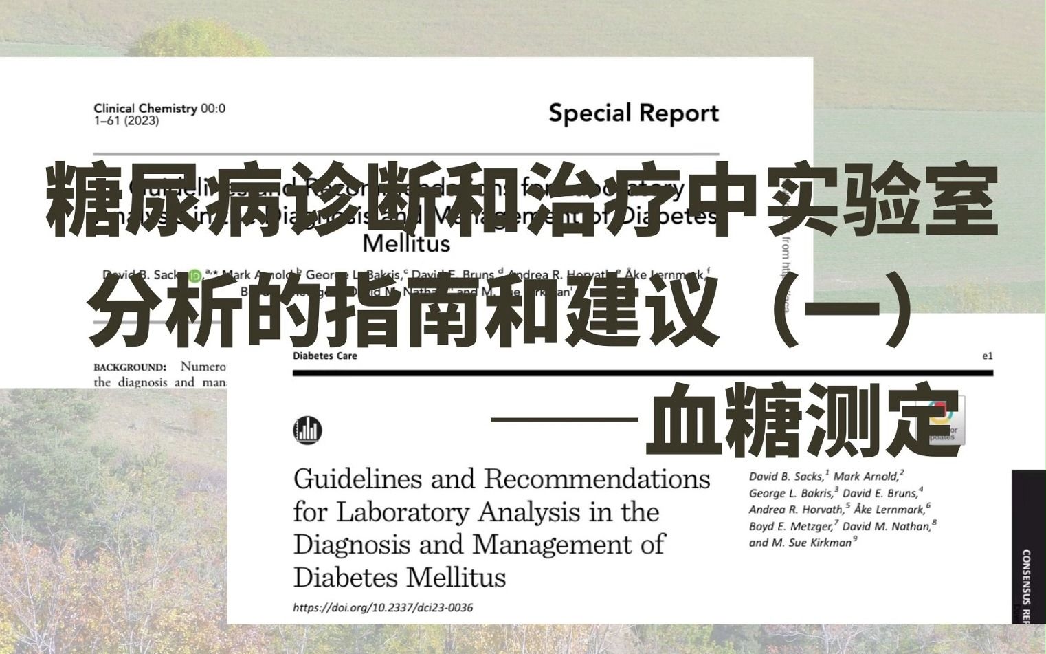 [图]糖尿病诊断和治疗中实验室分析的指南和建议（一）