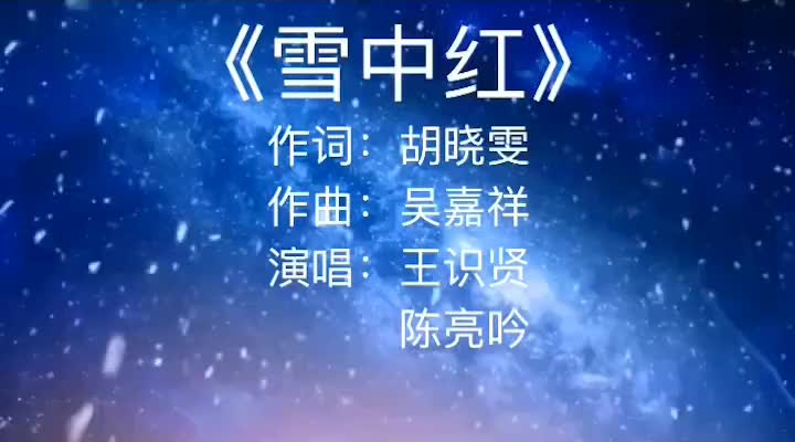 [图]闽南情缘不见中秋又逢冬只有玫瑰雪中红闽南歌闽南歌曲推荐