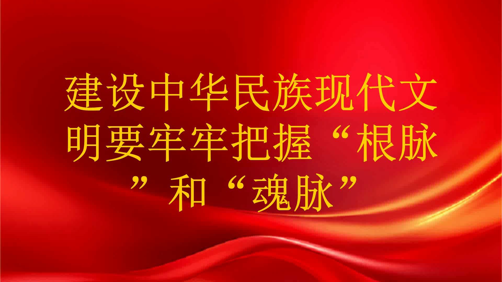 建设中华民族现代文明要牢牢把握“根脉”和“魂脉”哔哩哔哩bilibili