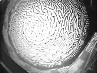 中野テルヲ-哔哩哔哩_Bilibili