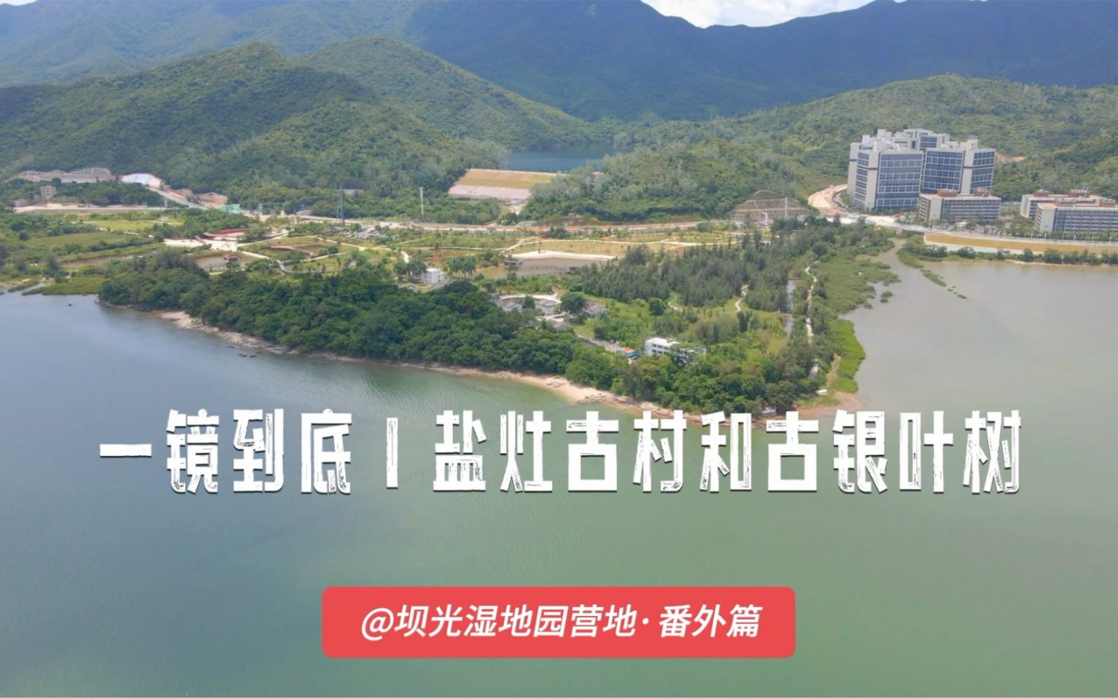 【深圳露营地002】大鹏半岛ⷮŠ坝光银叶树湿地园盐灶古村和银叶古树群探访!哔哩哔哩bilibili