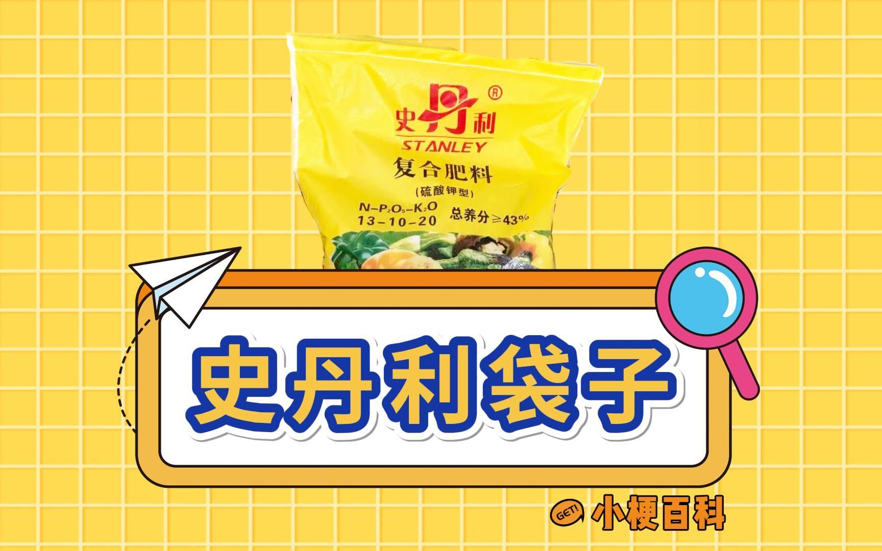 史丹利袋子是什么梗?