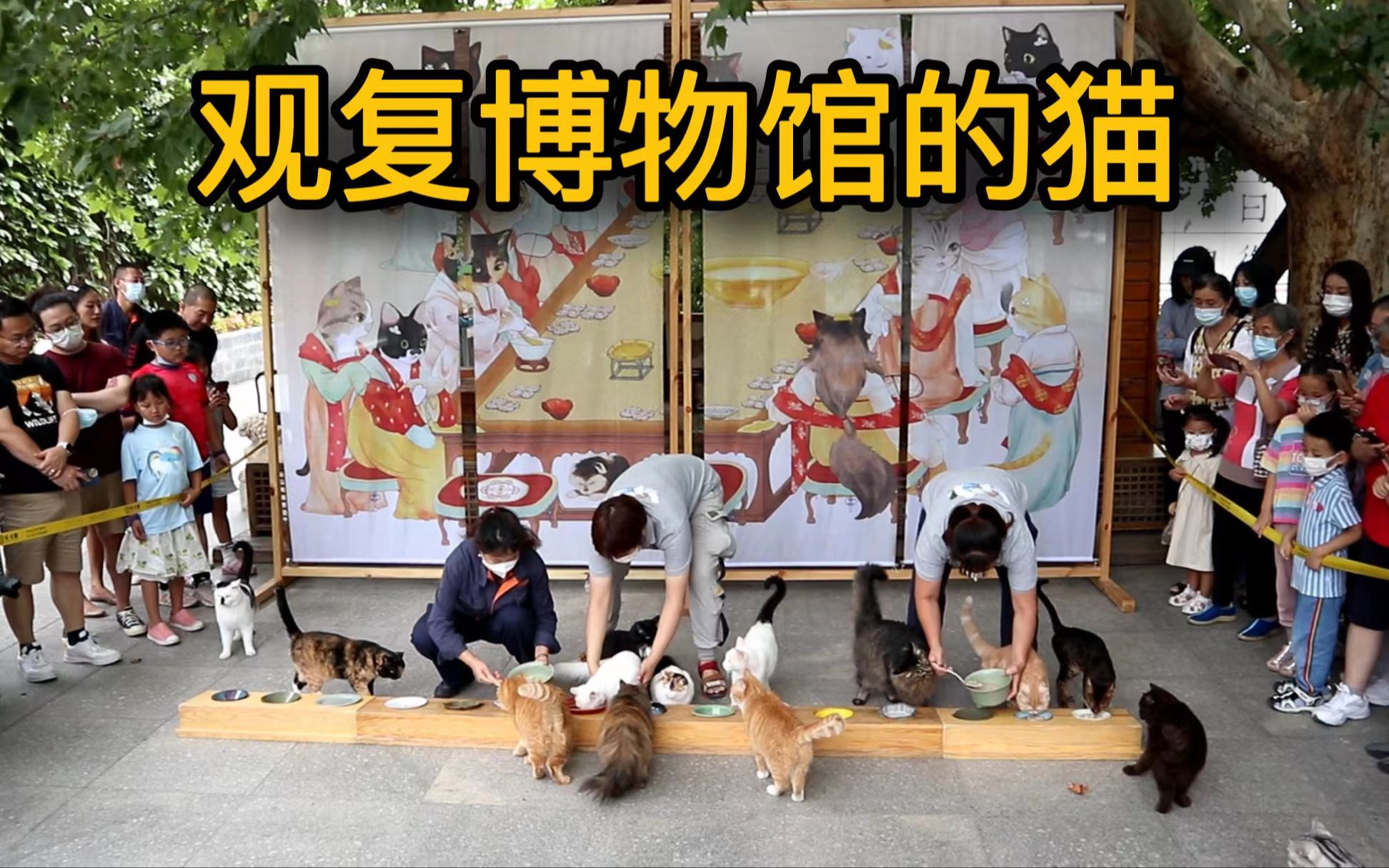 [图]【观复博物馆】猫才是这家博物馆的主题~