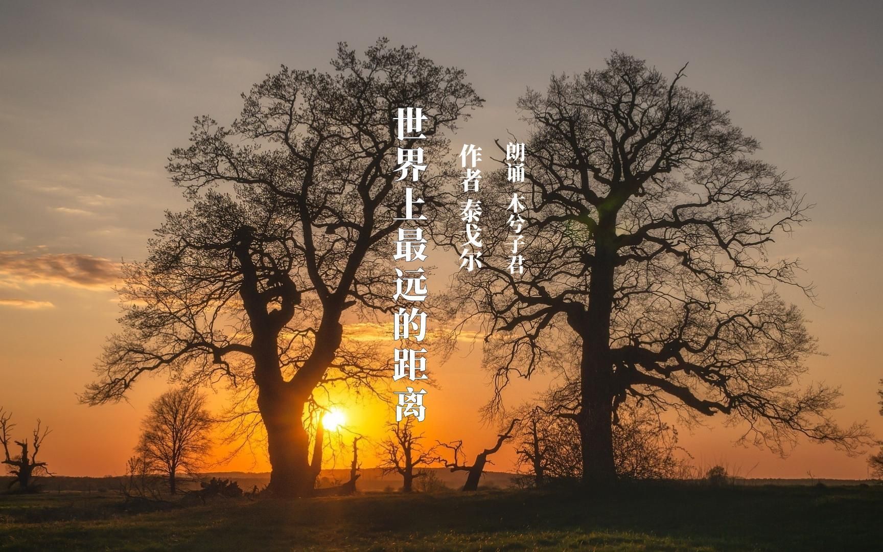 朗诵:世界上最远的距离