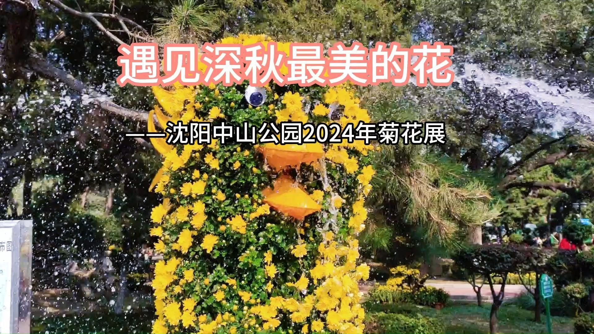 [图]遇见深秋最美的花--沈阳中山公园2024年菊花展