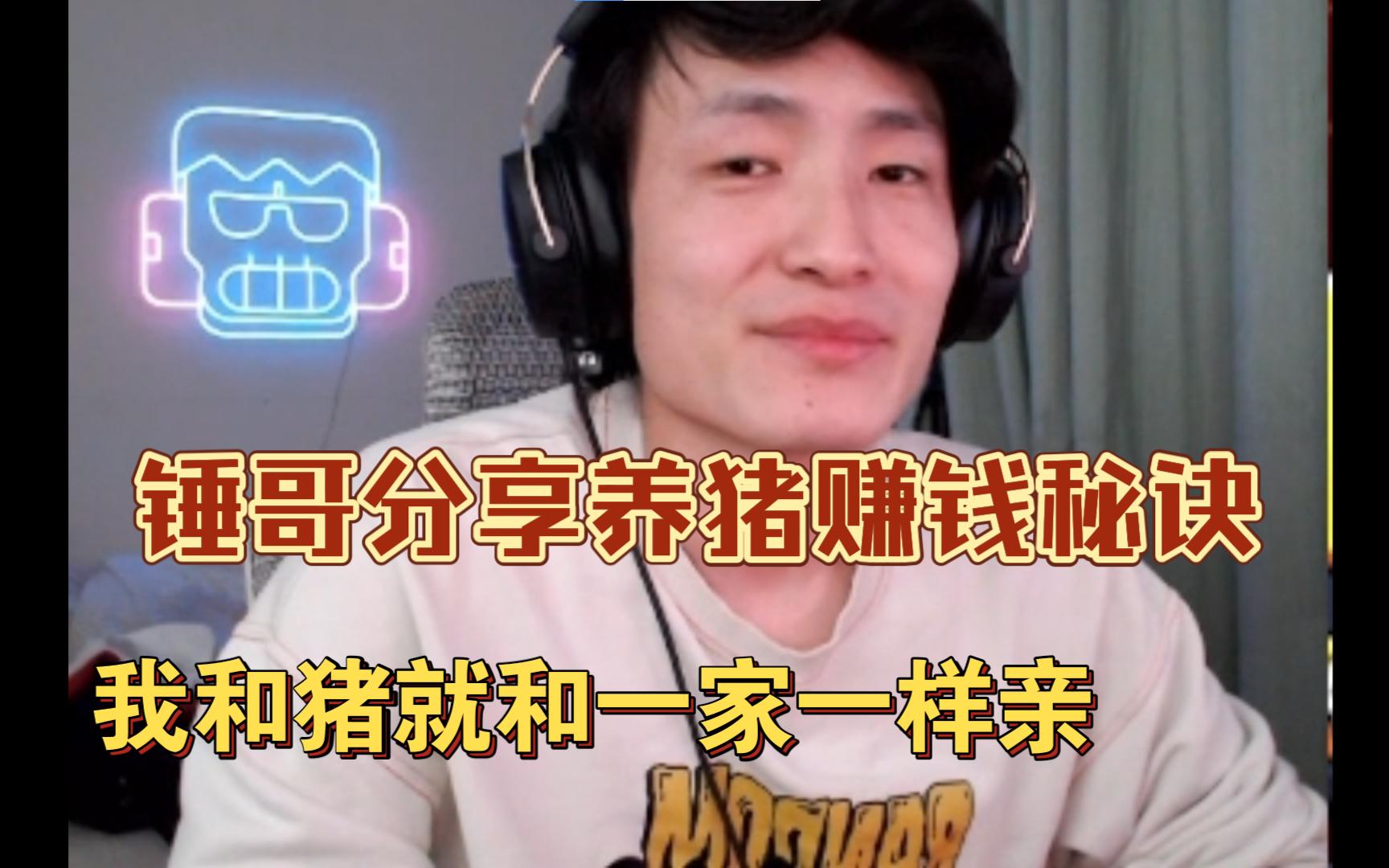 锤哥讲养猪怎么赚钱【荒野乱斗魏查德】魏大锤直播回放