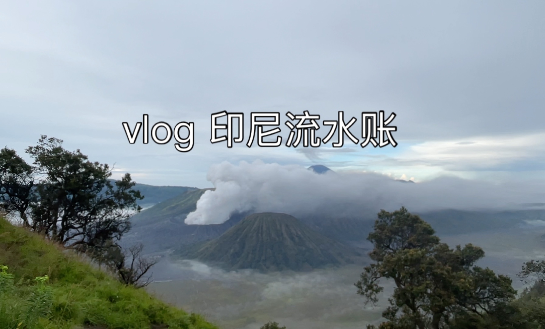 Vlog 印尼流水账|Sewu瀑布|Semeru火山|Bromo火山|Ijen火山|巴厘岛|罗威纳追海豚|佩尼达岛哔哩哔哩bilibili