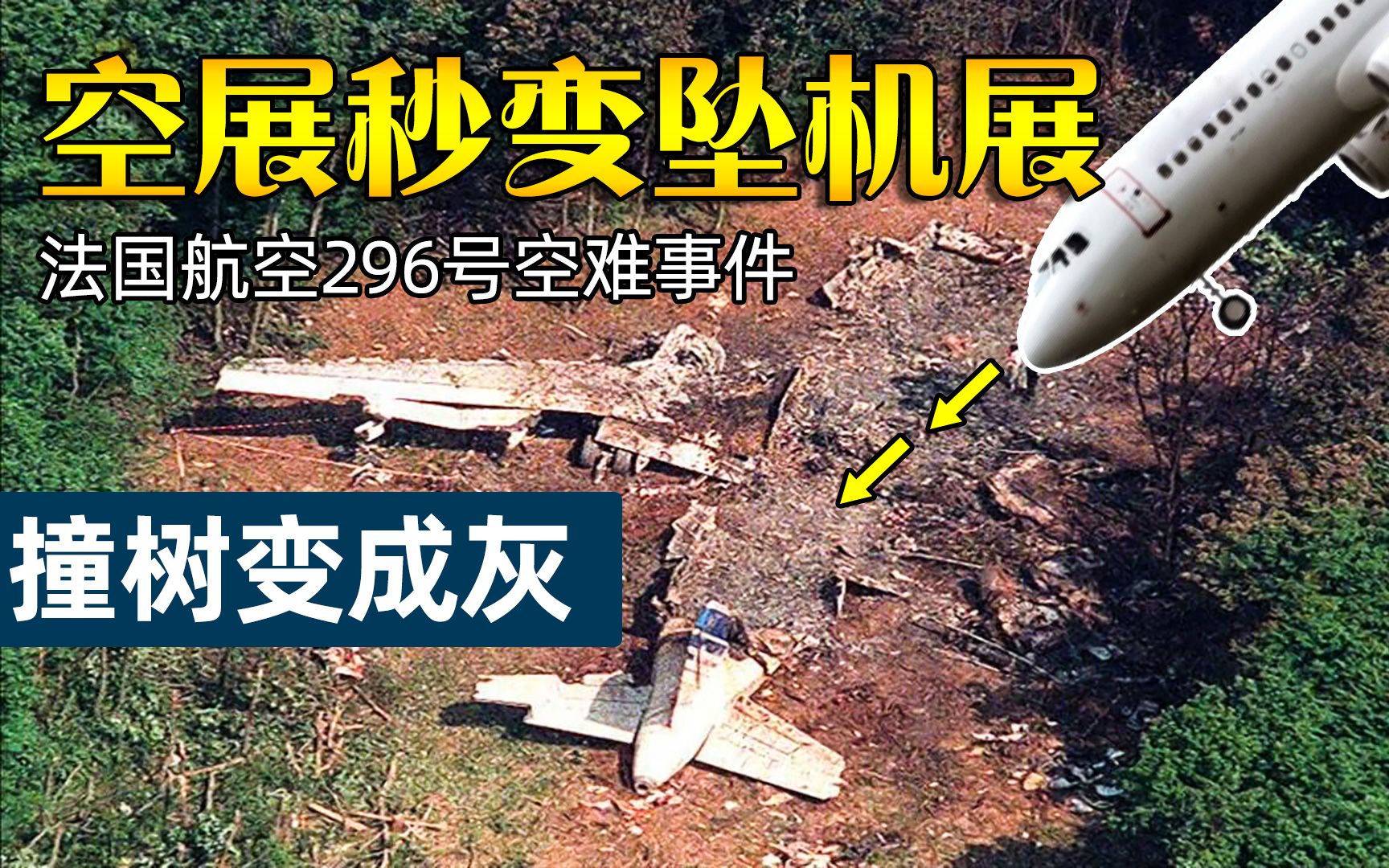 坠机全程被直播,结果撞树变成灰《空中浩劫》法国航空296号空难事件