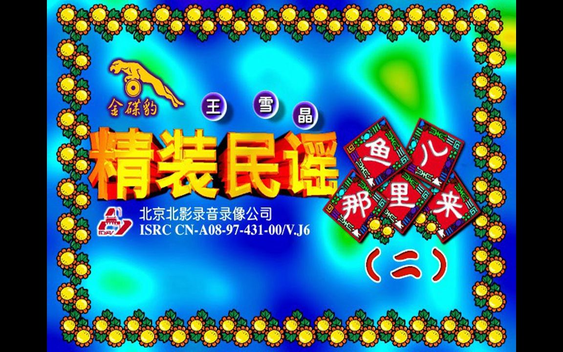 王雪晶精装民谣2vcd影碟