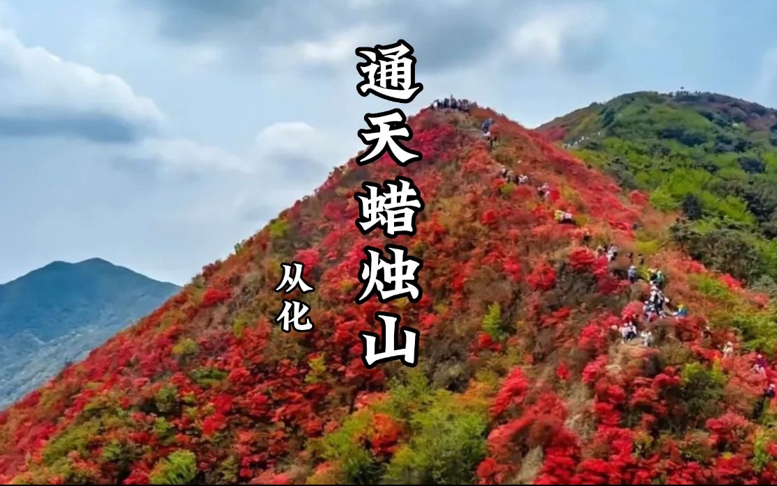 从化 | 通天蜡烛山