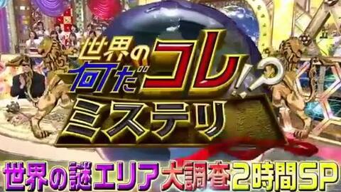 世界の何だコレ ミステリー 17年11月8日 謎のエリアを大調査sp 哔哩哔哩 Bilibili