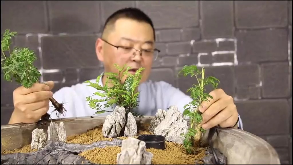 225 一日来客曰极喜欢张三丰,遂做一个太极花盆送之#花器 #植物造景微