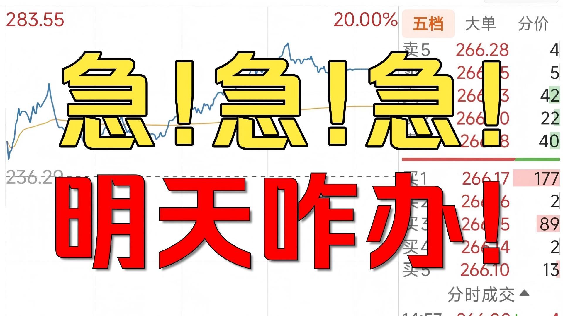 英伟达一夜炸场！A股半导体全线起飞！2亿兄弟拍断大腿！沪指兵临4000点！主力突然摊牌，明天冲关还是诱多？