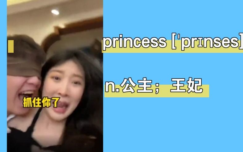 搞笑英语:公主;王妃 princess哔哩哔哩bilibili