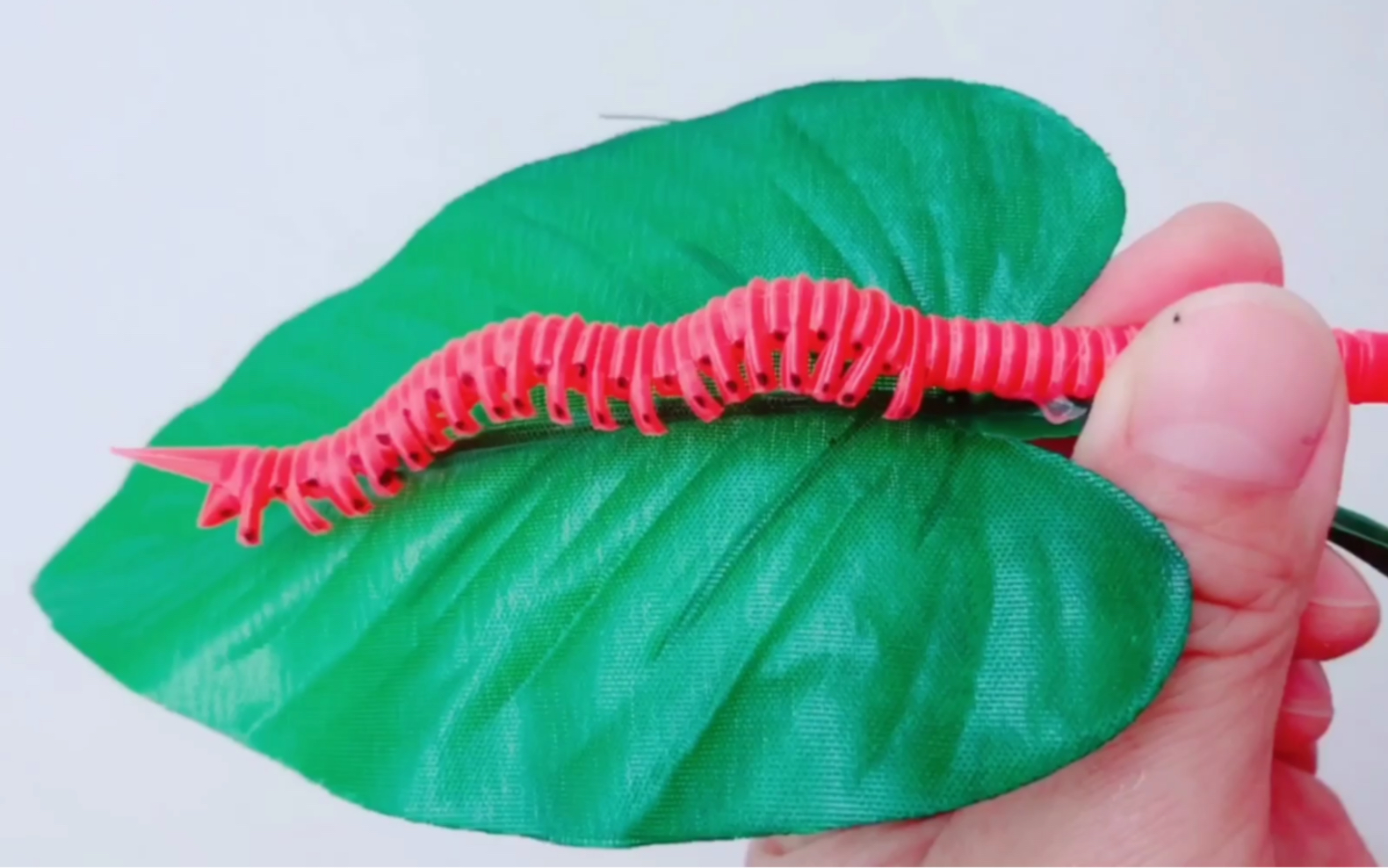 花花绿绿的吸管不要扔,亲子手工教你变成会动的毛毛虫,心动不!