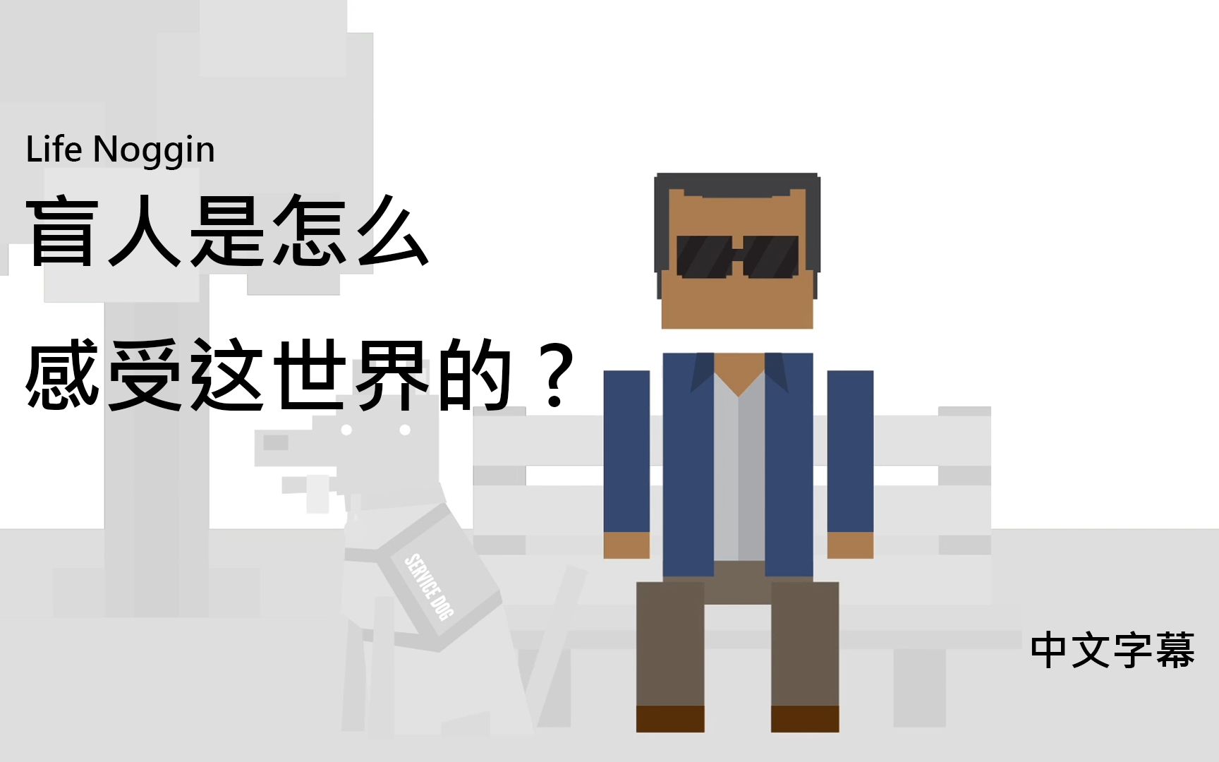 lifenoggin盲人是怎么感受这世界的中文字幕