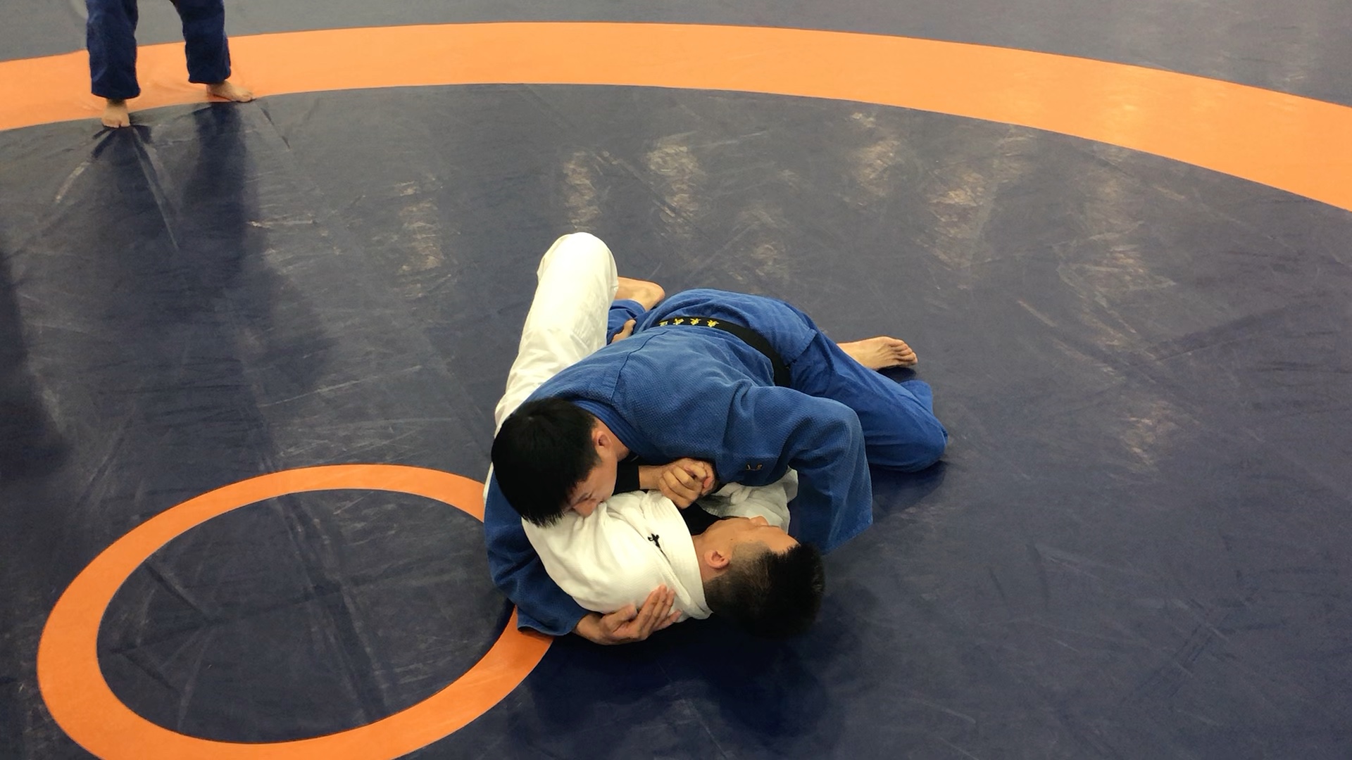 奥东武道柔道教学曹教练示范【寝技固技中的变化】