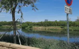 Descargar video: 北京通州超大郊野公园 野趣十足 骑行钓鱼赏景 体验感好