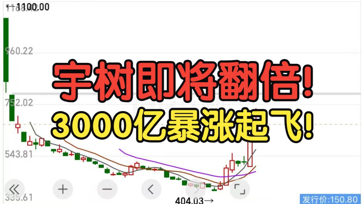 宇树科技即将翻倍！王兴兴身价暴涨！硬件再度调整大跌！本周重点财报密集披露！