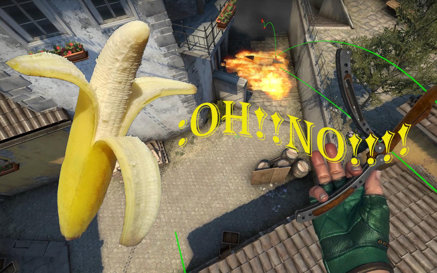 【csgo】香蕉道:习惯了