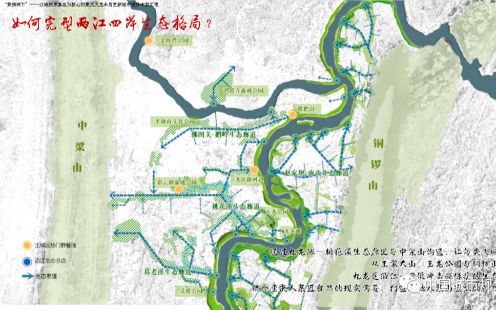 [图]天津大学「黄桷树下」——2022城乡规划学本科六校联合毕业设计终期汇报