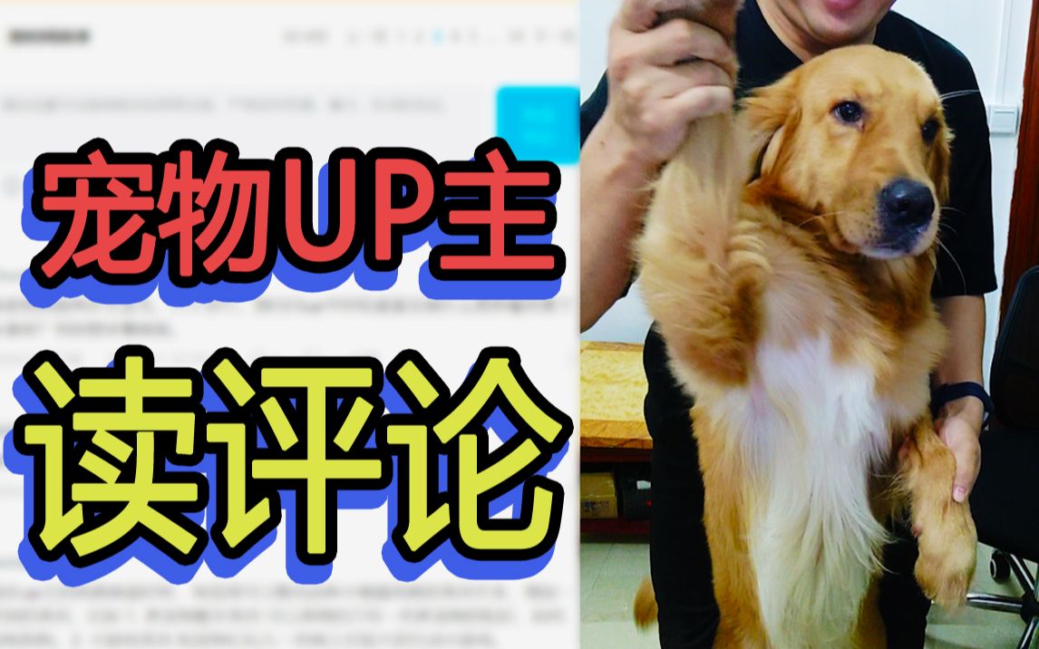 宠物UP主也来读评论啦!你想知道的都在这里!!哔哩哔哩bilibili