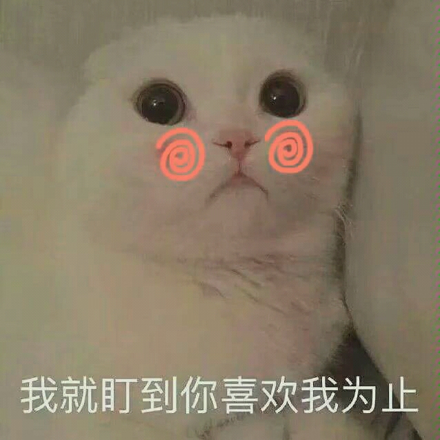 【猫咪】日常表情包(/≧)哔哩哔哩bilibili