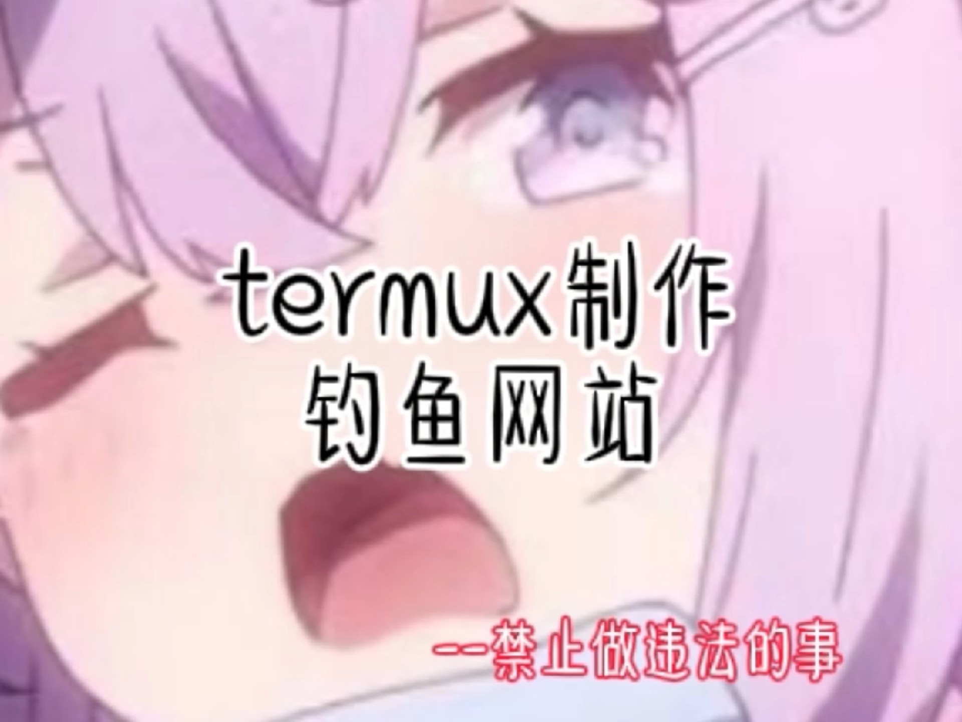 termux制作钓鱼网站哔哩哔哩bilibili