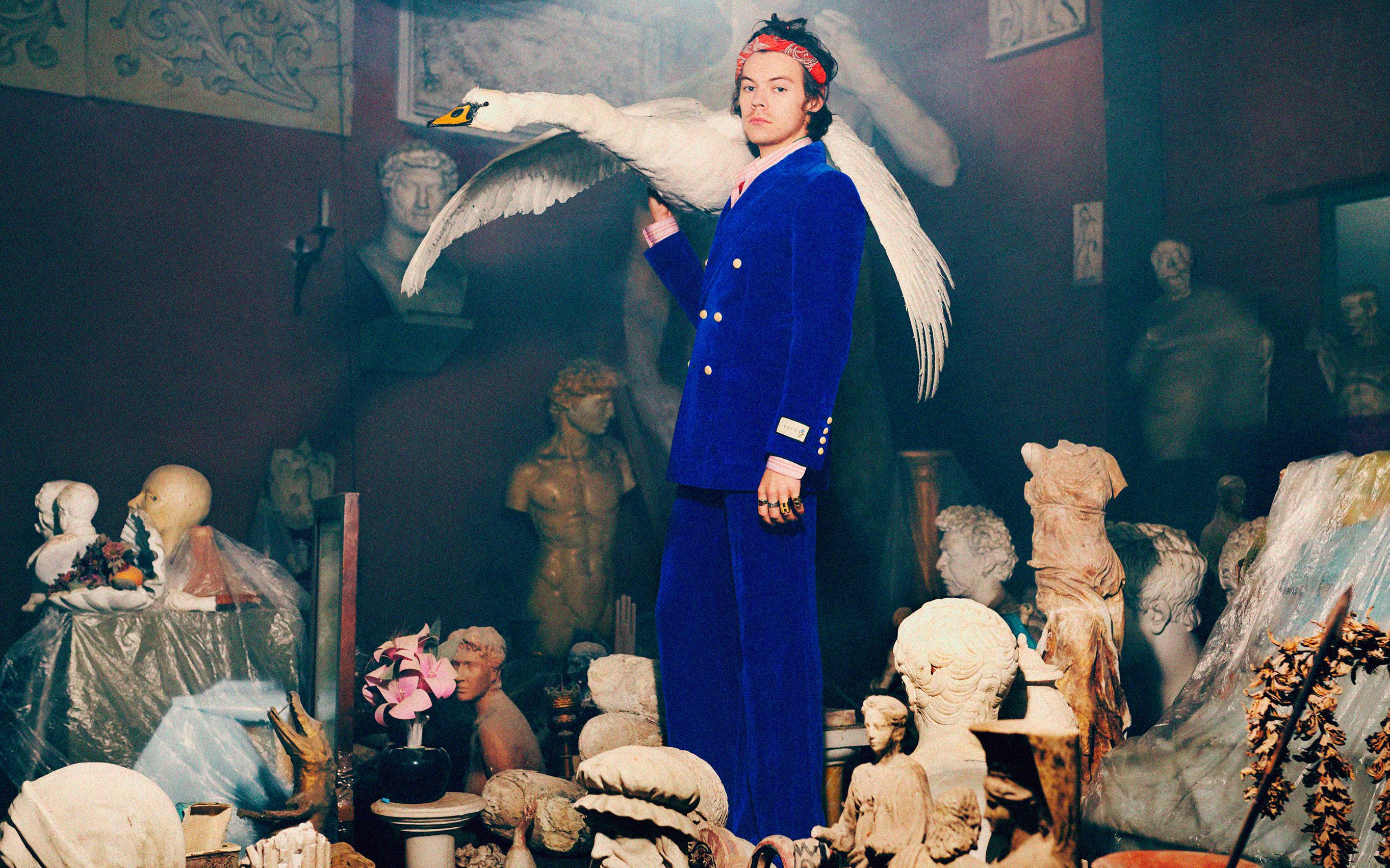 harry styles - gucci pre-fall 2019 tailoring campaign