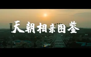 Download Video: 【互动视频】天朝相亲图鉴