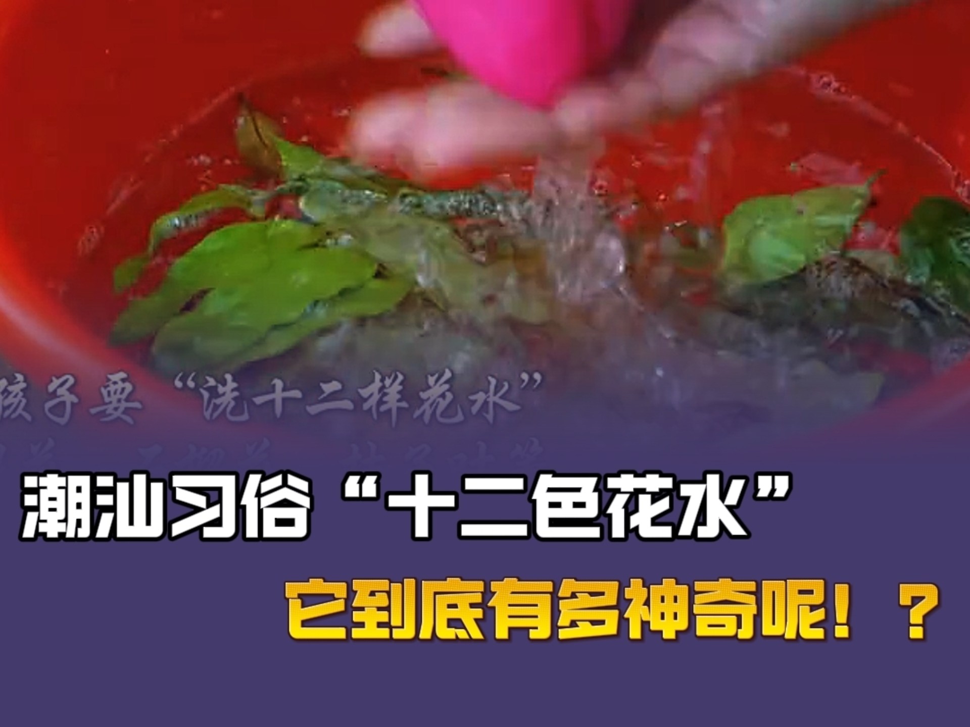 潮汕"十二色花水"到底有多神奇?