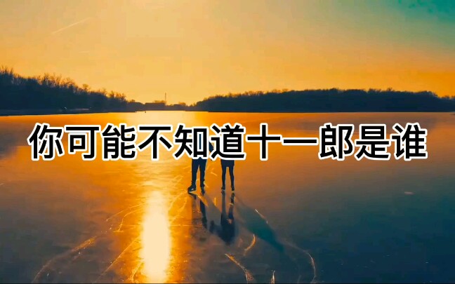 十一郎到底是谁?哔哩哔哩bilibili