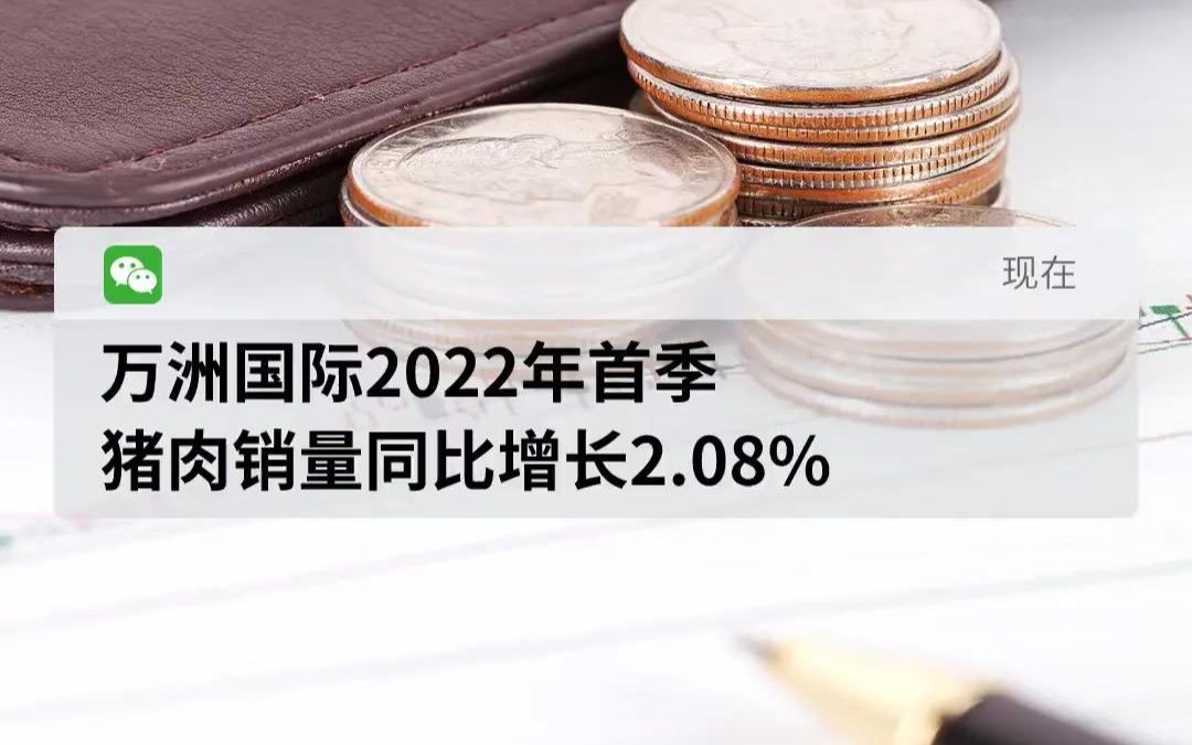 万洲国际2022年首季 猪肉销量同比增长2.08%哔哩哔哩bilibili