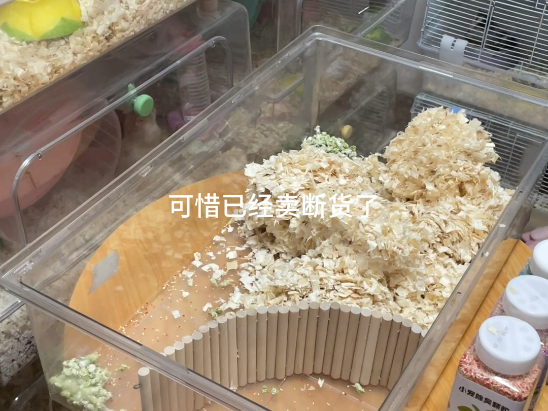 仓鼠夏季垫料怎么铺