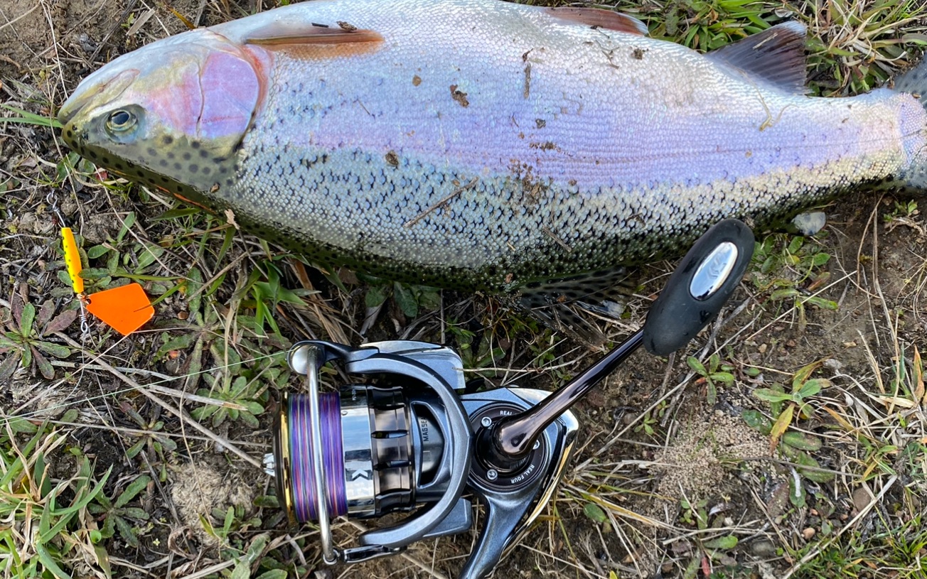 活动  澳大利亚蓝山水库徒步路亚虹鳟鱼