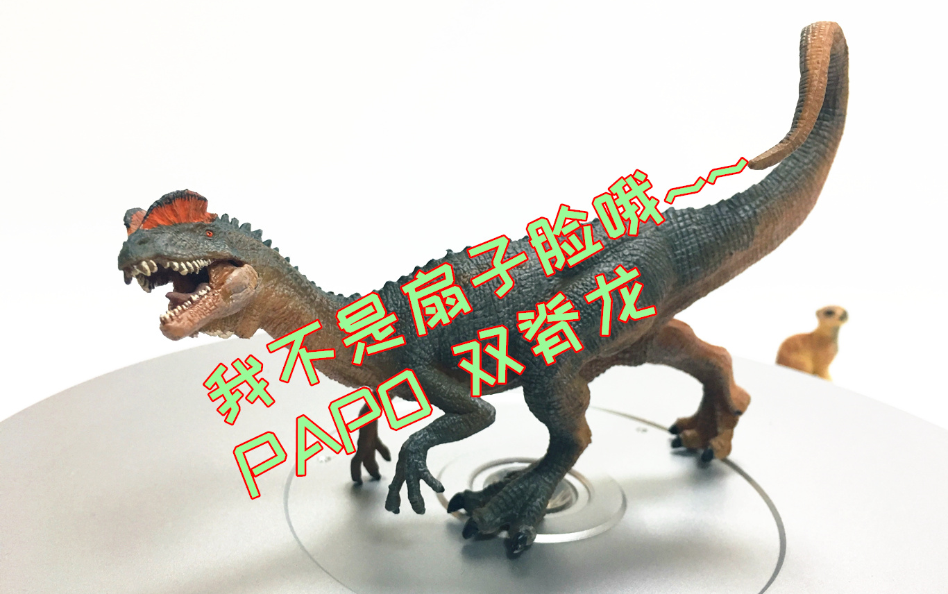活动作品初丁分享117我不是扇子脸papo双脊龙