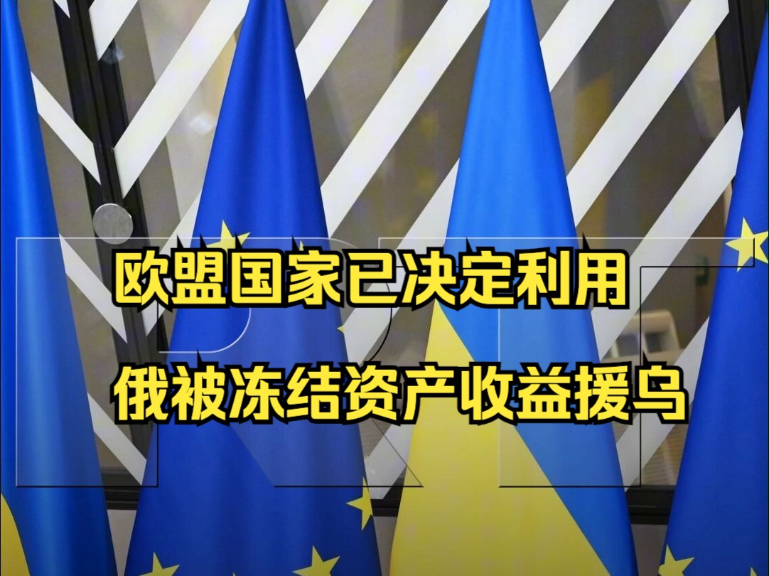 欧盟国家已决定利用俄被冻结资产收益援助乌克兰哔哩哔哩bilibili