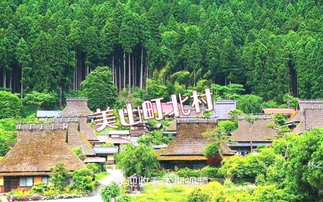 航拍日本美山町北村,风景秀丽,堪比人间仙境