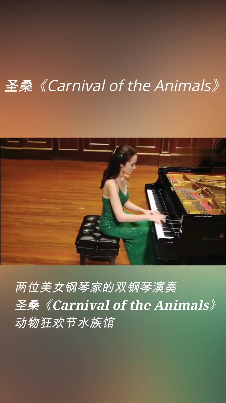 圣桑《carnival of the animals》动物狂欢节水族馆
