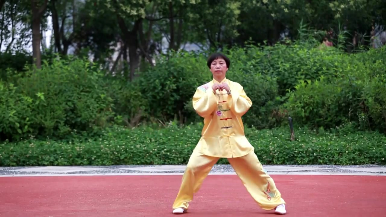 [图]养生太极掌 第一套 Yangsheng Taichi Palm I by Master Zhao