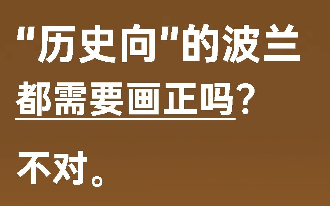 “历史向”的波兰都需要画正吗?哔哩哔哩bilibili